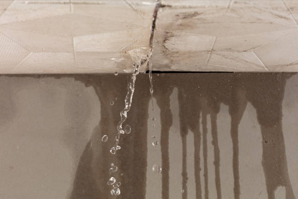 Professional Water Damage Restoration technician working in Redmond, WA